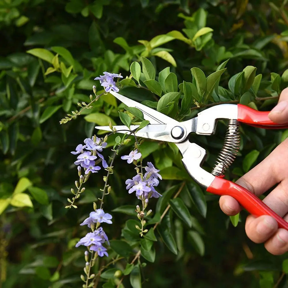 Pruning Shear Branch Scissors Stainless Steel Non-Slip Handle Sharp Garden Fruit Tree Pruning Very Sharp Garden Tools