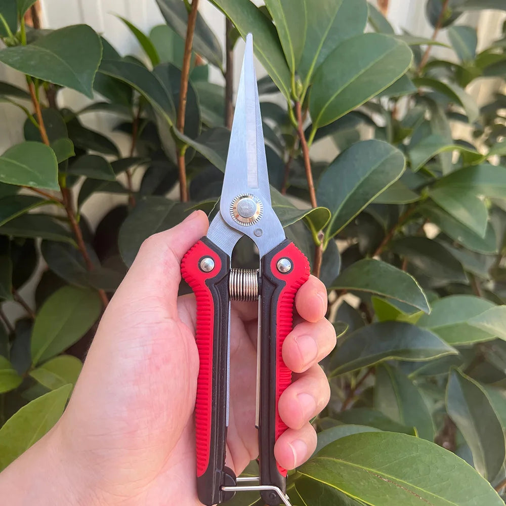 Pruning Shear Branch Scissors Stainless Steel Non-Slip Handle Sharp Garden Fruit Tree Pruning Very Sharp Garden Tools