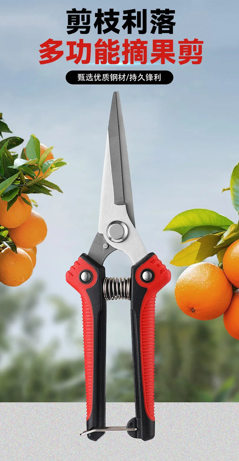 Pruning Shear Branch Scissors Stainless Steel Non-Slip Handle Sharp Garden Fruit Tree Pruning Very Sharp Garden Tools